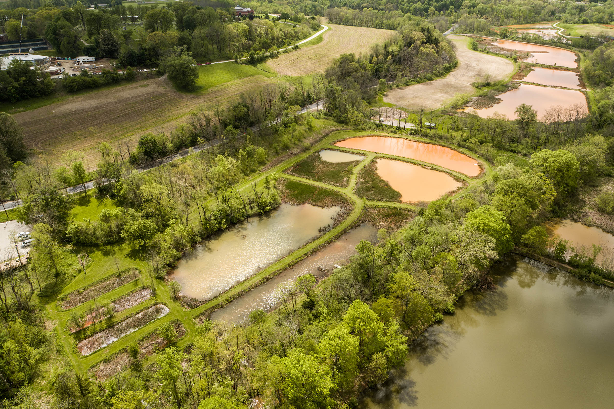 Monastery Run Improvement Project - wetlands