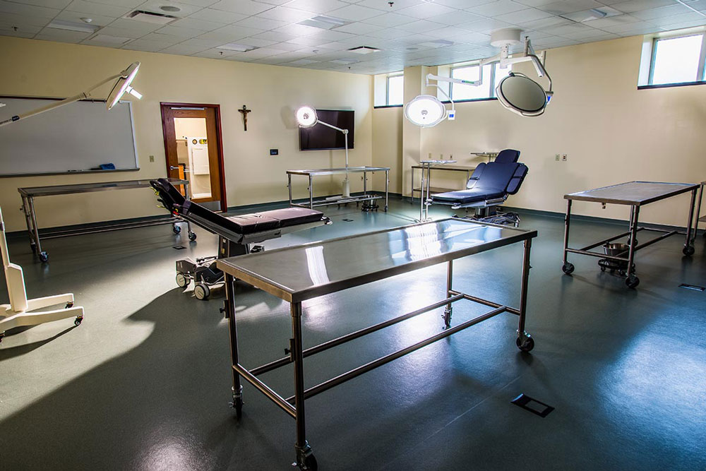 Liberatore Human Anatomy Lab Liberatore Human Anatomy Lab