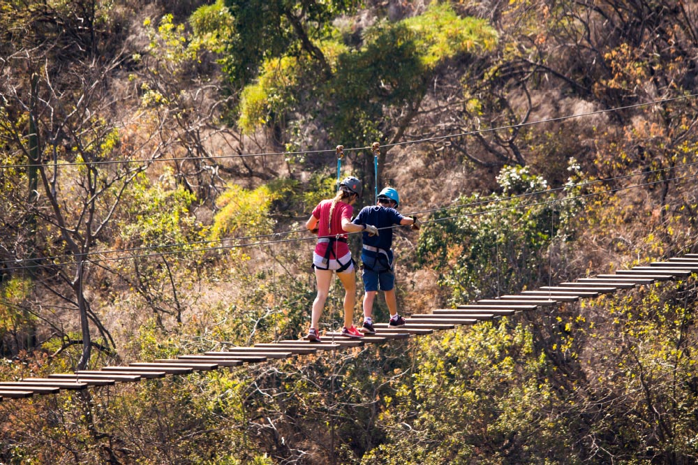 Students on rope course