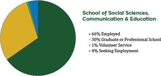 ssce success rates pie for 2016-17