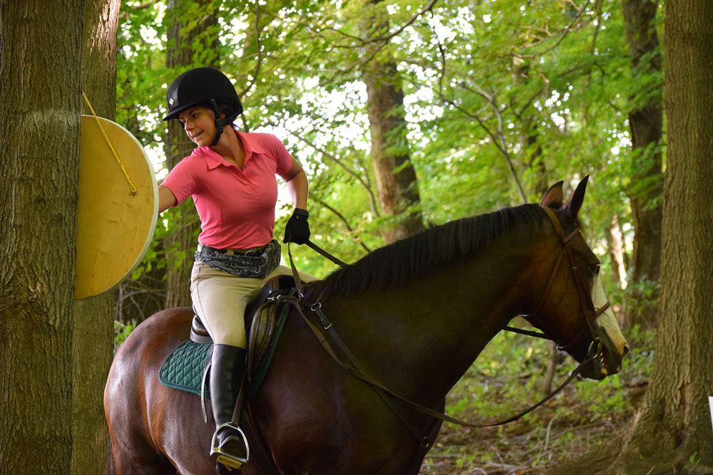 Rider brushing horse